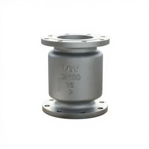 Stainless Steel Check Valve