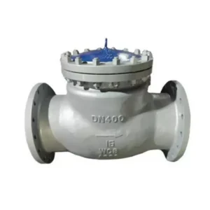 Stainless Steel Check Valve CF8M / CF8 Body Lug Type Dual Plate for Petrochemical Pipeline