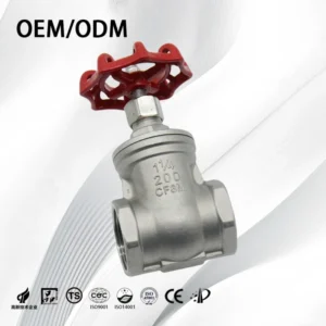 Stainless Steel Corrosion Resistant High Temperature Npt Bsp Threaded Gate Valve for Water Oil Manual Shutoff OEM