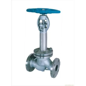 Stainless Steel Cryogenic Globe Valve