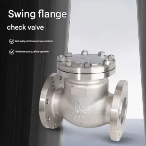 Stainless Steel Flange Swing Check Valve Non-return Valve, One-way Valve Flange Check Valve