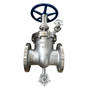 Stainless Steel Gate Valve GB Two Way High Pressure Manual Z41W 16 Water Supply Drainage Highly Corrosive Media Moderate