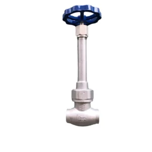 Stainless Steel Low-temperature Globe Valve