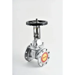 Stainless Steel Manual 2 Inch Flange Gate Valve with Dark Stem for Oil at Normal Temperature