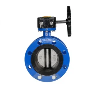 Stainless Steel Manual Handle PTFE Wafer Type Butterfly Valve Custom for Water Medium OEM