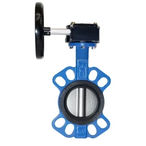 Stainless Steel Manual Turbine Butterfly Valve Flange Clamping Connection EPDM Sealing DN100 300 Sizes