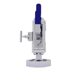Stainless Steel Needle Valves High Pressure Double Block and Bleed Valve