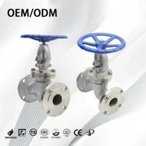 Stainless Steel SS304 SS316 Flange Globe Valve Shutoff Valve Bolted Bonnet Flanged End Shut-off Valve for Steam Boilers