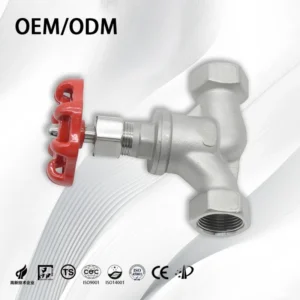 Stainless Steel Threaded End Globe Valve Female Thread Swing Stop Back Check Valve