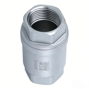 Stainless Steel Vertical Check Valve with 1000PSI Pressure Rating and PTFE Seal Series of Check Valves Ranging From DN15 to DN80