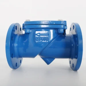 Standard Ductile Iron DN50 600 Rubber Flap Swing Flange Check Valve