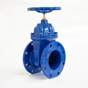 Standard Flange Type Soft Seated Gate Valve DN150 Pn16 Big Size Gate Valves