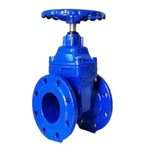 Standard Flanged Manual Acid Resistant Elastic Soft Seated Large Size Gate Valve
