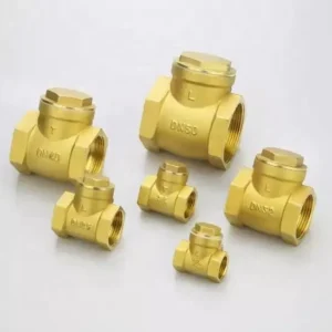 Standard Lift Check Valve DN25 with Stable Sealing Brass Body High Flow Rate CE Certified for Fluid Control Pipelines