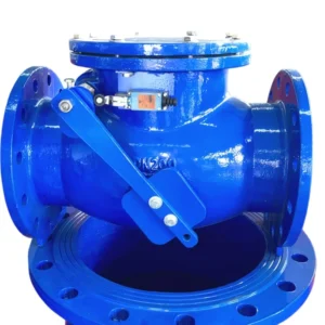 Standard Normal Temperature Flanged End Silent Check Valve for Water System
