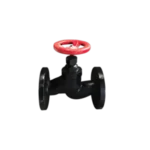 Standard Steam Globe Valve
