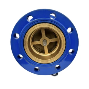 Superb Craftsmanship Vertical Check Valve Flange Ductile Iron Silencing Check Valve for Municipal Engineering