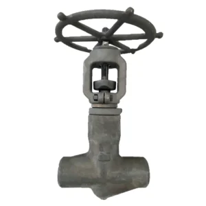 T-Pattern Stainless Steel High Performance Service Proven Technology Designed Critical Service Globe Valve