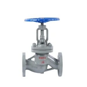 TF High Temperature High Pressure API ANSI 150LB 304 316 JIS 10K 1.6 6.4mpa WCB Manual Flanged Globe Valve