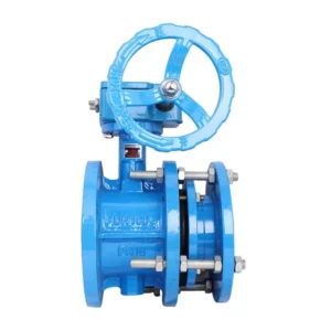 TF Manual Water System Flange Worm Gear Telescopic Butterfly Valve with ISO Standard and 2 Year Warranty