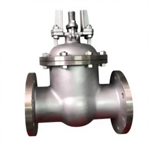 Trimmed Stainless Steel Gate Valve Renewable Seat & Wedge Design for Extended Service Life