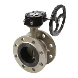 Turbine Butterfly Valve Stainless Steel