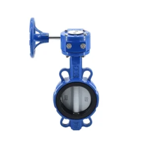 Turbine Lug Type Double Flange Manual Butterfly Valve DN50 DN250 Stainless Steel Water Valve 1MPa Pressure -10C~80C