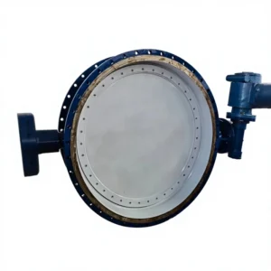 Ventilation Double Eccentric Butterfly Valve D642H 16C Cast Steel Manual Hard Seal High Temperature Chemical Industry