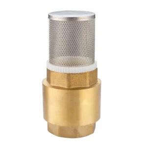 Vertical Check Valve with Filtering Device, with a Port Size of 1/2 Inch