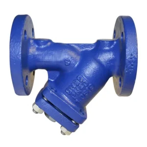 Veyron Low Price High Performance Durable Ductile Iron Stainless Steel Body Y Strainer for Impurity Filtration Customizable Size