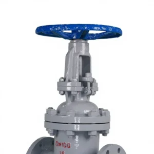 WCB Flange Gate Valve Manual High Temperature Base With Soft Seal Concealed/Exposed Stem For Water DN100