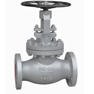 WCB SS304 SS316 Globe Valve for Water Oil Gas System