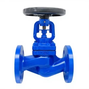 WJ41H-16C German Standard Bellows Globe Valve Bonnetless Stainless Steel Flange Shutoff High Temperature Steam Thermal Oil DN50
