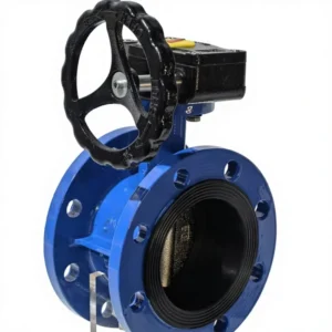 WL-01 Factory DN40-DN250 Manual Power Cast Iron Turbine Double Flanged Butterfly Valve for Water General Media
