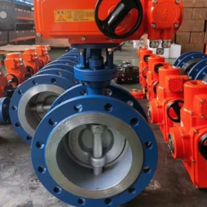 Wafer Type Lug Type Flanged End Stainless Steel 304 316 Butterfly Valve RF FF Connection