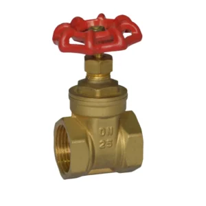Water Control Valve Durable Iron Valve Brass Gate Valve