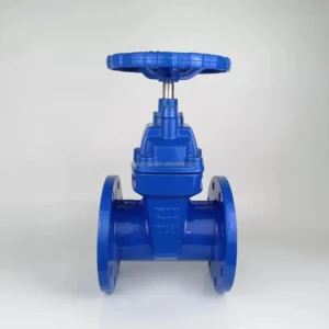 Wedge Gate Valve NBR EPDM Sealed Cast Iron Non-Rising Stem Gate Valve for Water Supply and Drainage Pipelines