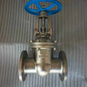 Wedge Gate Valve Z41W-16P for High Temperature Various Pressure and Medium Conditions Chemical Industry Use Customizable