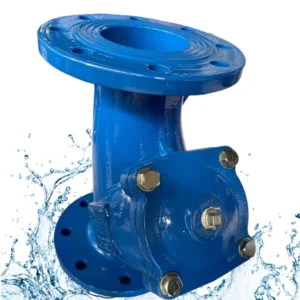 Y Type Fire Fighting Strainers Ductile Cast Iron Flange Connection Protection GL41H Model DN32 600
