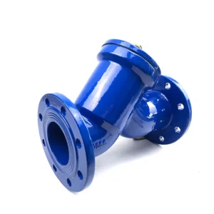 Y Type Flange End Strainer