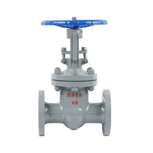 Z41H-16C Custom DN15-DN1000 Oil Media WCB Material Manual Flange Lift Stem Hard Seal Gate Valve