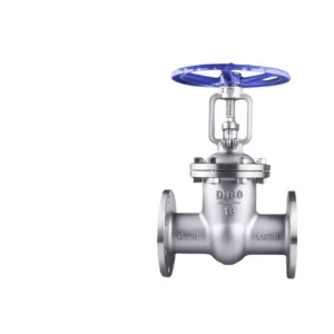 Z41W 16P 304 316 Stainless Steel Flanged Gate Valve Marine Gate Valve