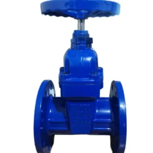 Z45X Manual Gate Valve with Elastic Seat for Medium Water Sealing Valve
