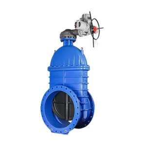 Z945X 16Q Large Diameter Flange Electric Soft Seal Gate Valve for Municipal Water Supply