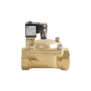 ZX204 Series Stainless Steel 220V FKM 15mm Solenoid Valve