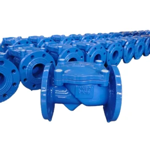 dn100 pn16 Cast Iron Single Flap Check Valve Ductile Iron Tilting Disc Rubber Seat Check Valve for Water