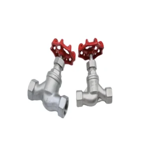 stainless steel globe valve